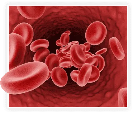 Ilustração da descoberta científica